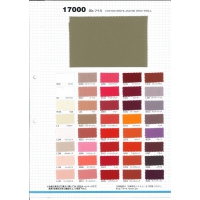 17000-样卡