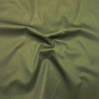 S1160大货 (EX GABARDINE REGULAR，185.00g/m<sup>2</sup>)