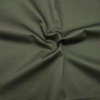 S2459大货 (RATINE，223.00g/m<sup>2</sup>)