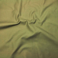 S2460大货 (SLUB BACK SATEEN，282.00g/m<sup>2</sup>)