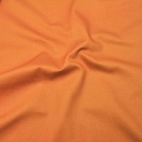 S25011大货 (DRILL REGULAR，247.00g/m<sup>2</sup>)