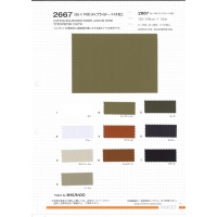 2667-样卡