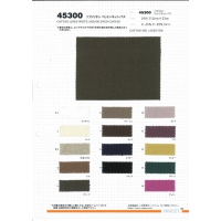45300-样卡