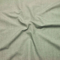 S55970大货 (T/R色纺平纹起毛，0.00g/m<sup>2</sup>)