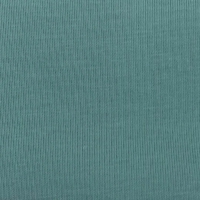 S467样布 (40S紧密棉索罗娜盖丝平纹针织布，185.00g/m<sup>2</sup>)