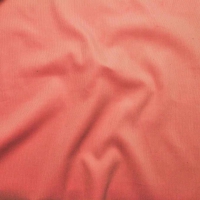 S70041样布 (21wale CORDUROY（WIDE），175.00g/m<sup>2</sup>)