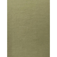 S888样布 (NYLON TAFFETA(WATER REPELLENT)，55.00g/m<sup>2</sup>)